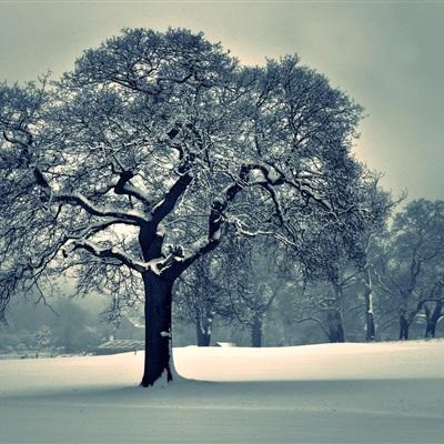 万博·ManBetX手机下载手机版