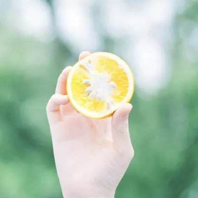 双赢彩票官方网站app下载